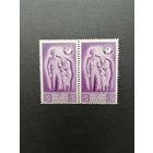 Польша 1946 Сцепка из двух марок из серии "Польский экспедиционный корпус в Италии. Армия генерала Владислава Андерса" (чистая**)