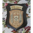 Плакетка. 75 лет Брестская пограничная группа.