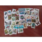 ФЛОРА, ФАУНА ЭКОЛОГИЯ (41 чистая марка СССР)