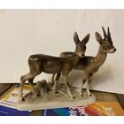 Косули (Германия, 1950-е годы)