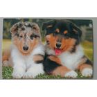 Собаки. Календарик, 2006