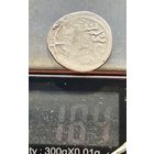 Дирхем золотая орда