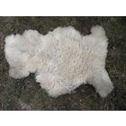 Шкура белой овцы (110х90 см.).С рубля.