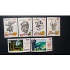 Фауна \49фа\ПОЛЬША  ОХОТА