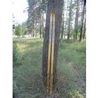 Лыжи "Быстрица" из СССР