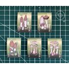 Беларусь 1998 Грибы Полная серия из пяти чистых марок**. (0016)