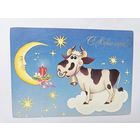 Чумакова 1996 годовик с новым годом