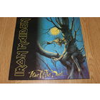 Iron Maiden - Fear Of The Dark - 2Lp