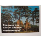 Календарик 1998 г. Берегите лес - самый ценный дар природы!