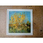 Рыжов Н. "Осенний этюд" оргалит масло 35х35см.