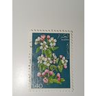 Алжир  марка 1978 год цветы