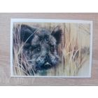 Исаков 1989, чистая