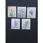 Горные цветы, Чехословакия,1979, серия 5 марок
