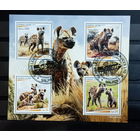 ФАУНА животные млекопитающие   БЛОК сто