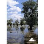 Календарик карманный Страхование Белгосстрах 2003