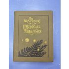 Ян Барщчэуски шляхциц завальня на белорусском языке