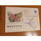 Последние провизории СССР - БССР редкий повёрнутый провизорий Жлобина Гомель  обл фауна бабочка насекомые