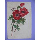 Открытка, Цветы, ~1960-е гг., подписана.