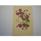 8 Марта 1967 год Елагина Т. чистая