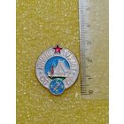 Значок Юный Турист СССР, крупный, светлый.