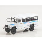 Наши Автобусы 80, КАвЗ-39766 Пассажирский вездеход