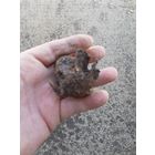 Лот по второй мировой