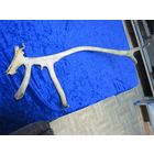 Рог Северного оленя, 49 см(1).