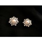 Брошь пара снежинки Sarah Coventry