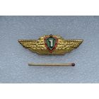 Классность. Ранний. Тяжёлый.