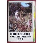 Никитский ботанический сад