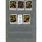 СССР, 1982,  ЯГОДЫ дикорастущие,  серия 5м,   (на "СКАНЕ" справочно приведены номера и цены по ЗАГОРСКОМУ))