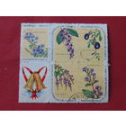 Куба 1969 г. Цветы.