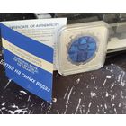 Битва на Синих водах,2022г