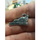 Чемпионат Европы мотокросс