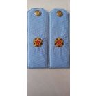 Погоны государственного советника таможенной службы РБ 3 ранга голубые прошитые золотистой нитью  накладные