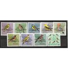 ФФ2 Польша 1966 Птицы