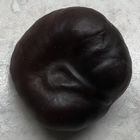 Каштан с лужайки у виллы на окраине Берлина, где 20 января 1942 г. проходила Ванзейская конференция - по "окончательному решению еврейского вопроса"