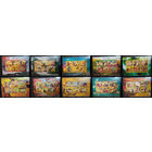 Серия блоков ДЕВУШКИ ИСКУССТВО КАРТИНЫ  MNH