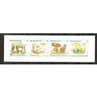 МС Бельгия 1991 Грибы буклет