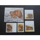 Беларусь 1996 г. Европейский бобёр.