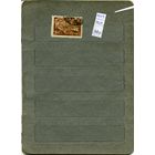 СССР, 1943, 200-лет со д/смерти БЕГИНГА,  1м   (на "СКАНЕ" справочно приведены номера и цены по Загорскому)