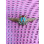 ВВС.СССР.Знак квалификационный военного лётчика-штурмана. 1 класс.