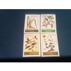 Беларусь 1996