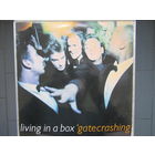 LIVING IN A BOX - Gatecrashing 89 Chrysalis Scandinavia NM/NM