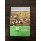 Календарик,страхование,1980