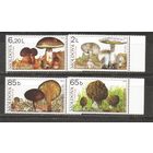 МС Молдавия 2007 Грибы