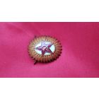 Кокарда Офицерская ВС СССР бронза эмаль