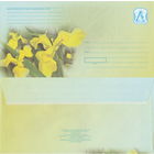 Беларусь 2007 Желтые ирисы (к4)