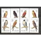ФФ1 Польша 1974 Птицы