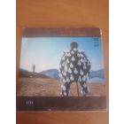 Pink Floyd - delicate sound of thunder. 2LP.